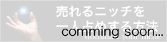 ネットビジネスでニッチを独り占めする方法